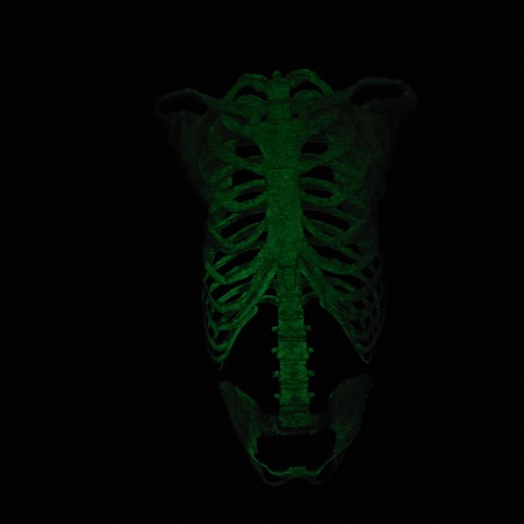 Skeleton Glow in the Dark Tshirt Neon Green - Picture 3 of 4